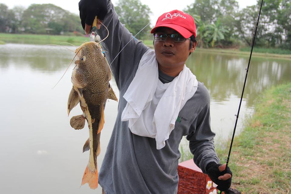 ข้าวฟรี น้ำฟรี ที่บึงปลาบึก เสนา ลุงประทีปจัดให้...