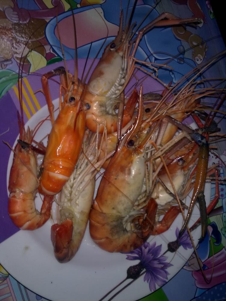 กุ้ง-หมายบ้านสร้าง