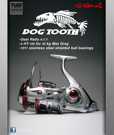 G-MAX DOG TOOTH  
