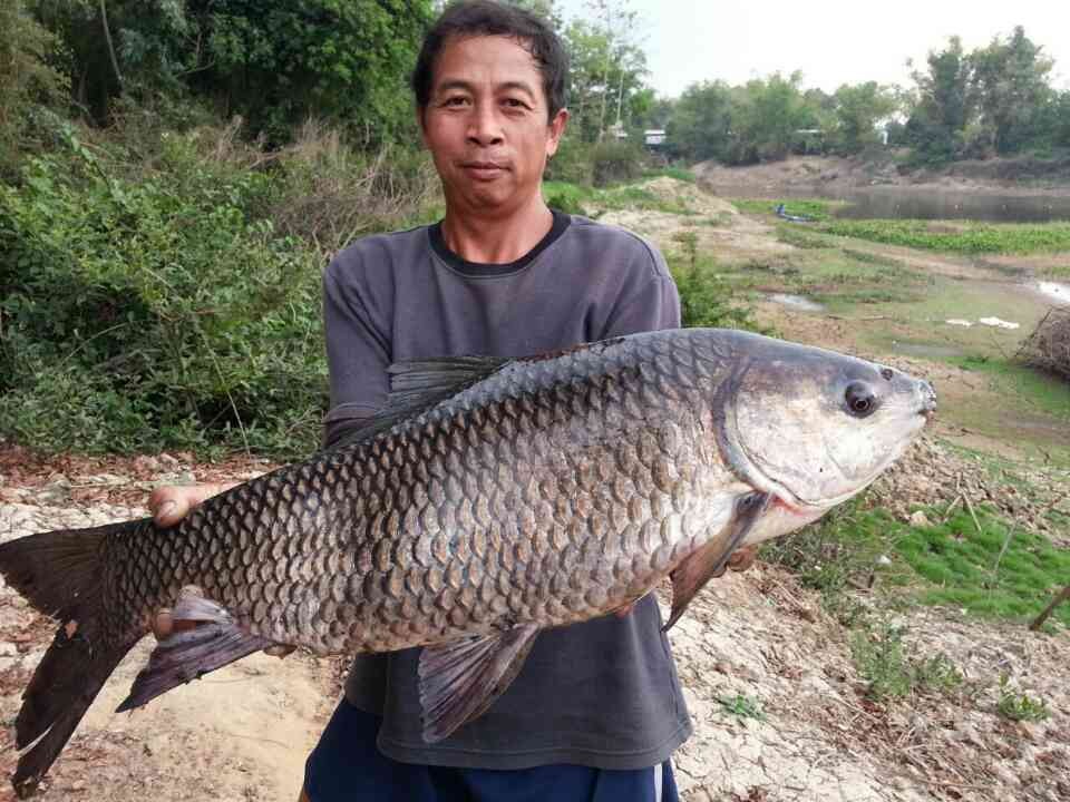 พี่ดุลย์เบ็ดเทพ ไอ้รถถัง 7 kg   คลองสัมพันธ์  ปราจีนบุรี