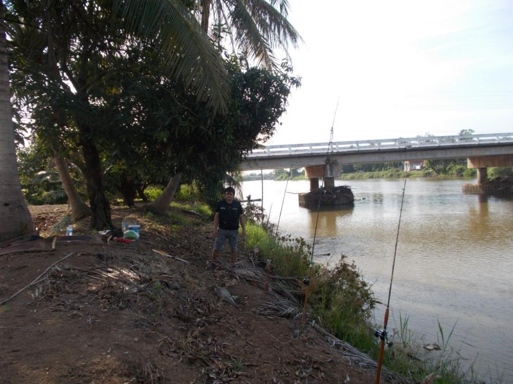 ตกปลาสะพานบางเตย  บ้านสร้าง 5.5kg  โชติเบ็ดเทพเทวะ