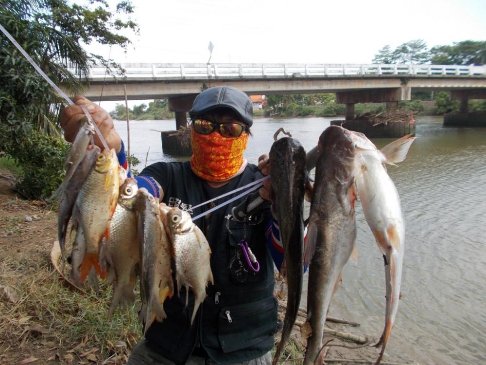 ตกปลาสะพานบางเตย  บ้านสร้าง 5.5kg  โชติเบ็ดเทพเทวะ