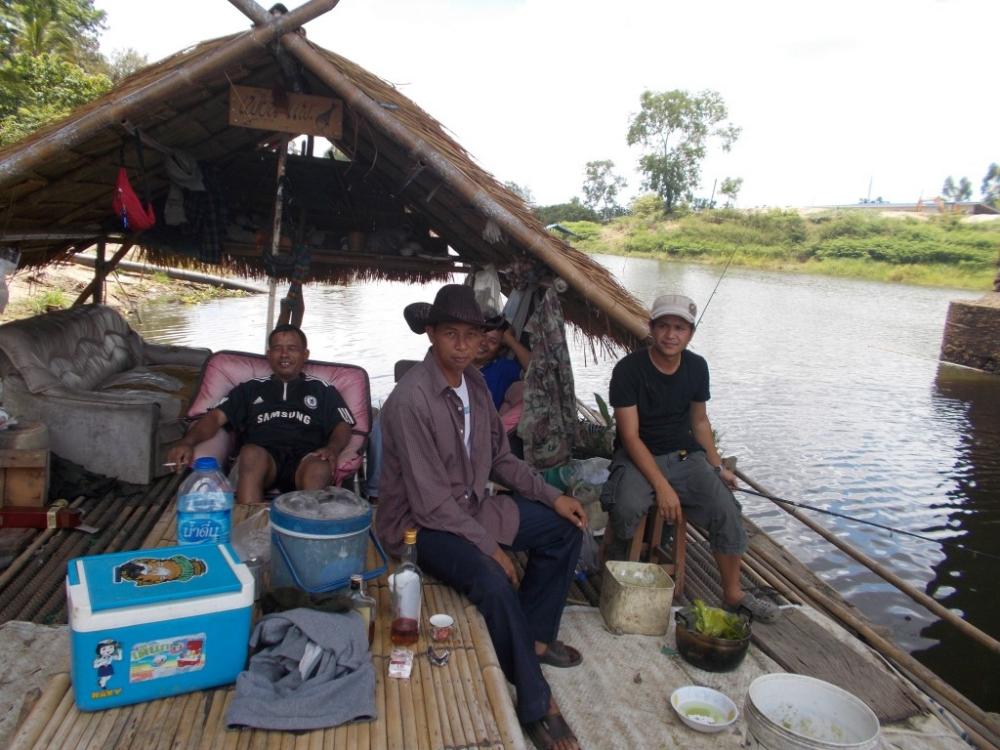 ชะโดใหญ๋ ที่ เพื่อน แพ  คลองสัมพันธ์ ปราจีนบุรี 