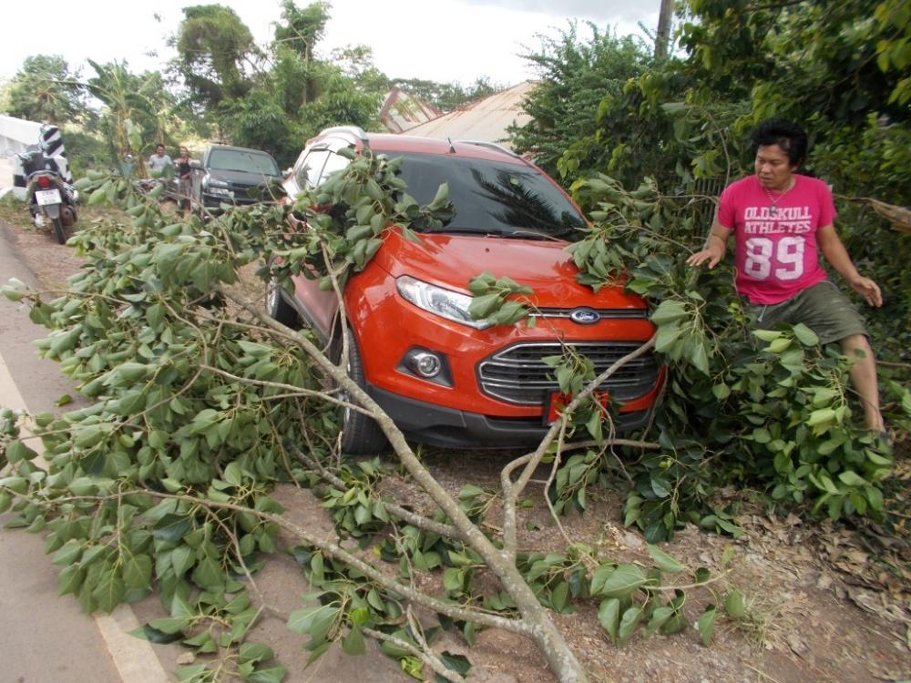 ชะโดใหญ๋ ที่ เพื่อน แพ  คลองสัมพันธ์ ปราจีนบุรี 