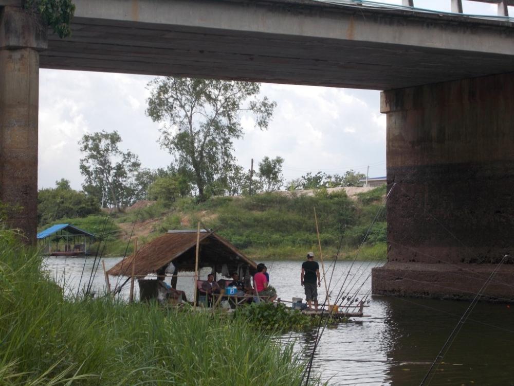 ชะโดใหญ๋ ที่ เพื่อน แพ  คลองสัมพันธ์ ปราจีนบุรี 