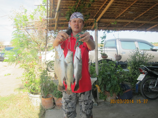 รวมภาพน้องพลอย1