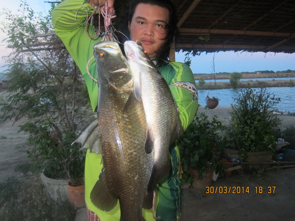 รวมภาพน้องพลอย1