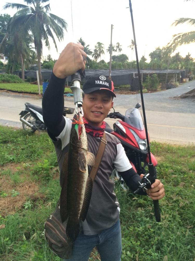 เช้าวันอาทิตย์ 1 ชม. กับ SnakeHead Angler Club