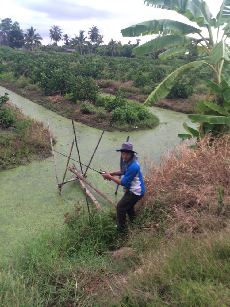 เช้าวันอาทิตย์ 1 ชม. กับ SnakeHead Angler Club