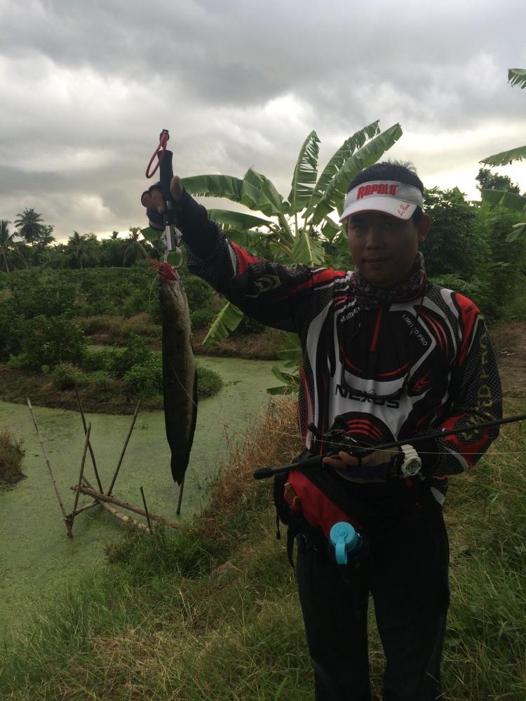 เช้าวันอาทิตย์ 1 ชม. กับ SnakeHead Angler Club