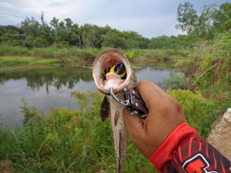 ..เทสๆ..