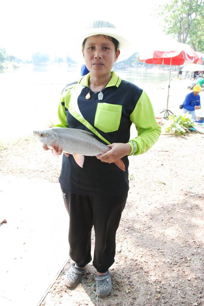 ขอเชิญร่วมแข่งขันตกปลาบึงบอน อุตรดิตถ์ วันที่ 25 พฤษภาคม 2557