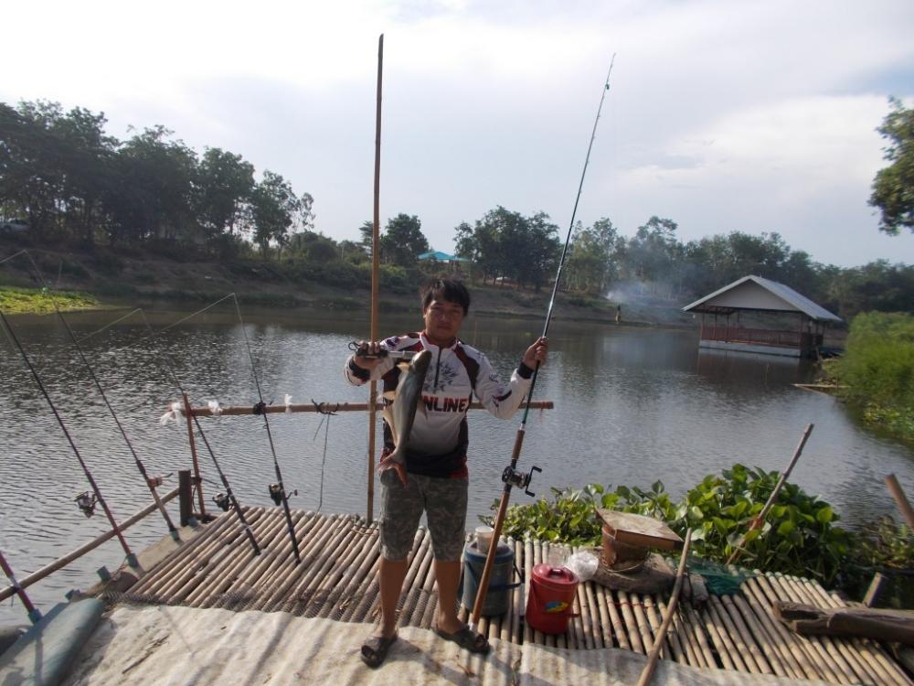 ชะโด ใหญ่  เพื่อนแพ คลองสัมพันธ์   ปราจีนบุรี   