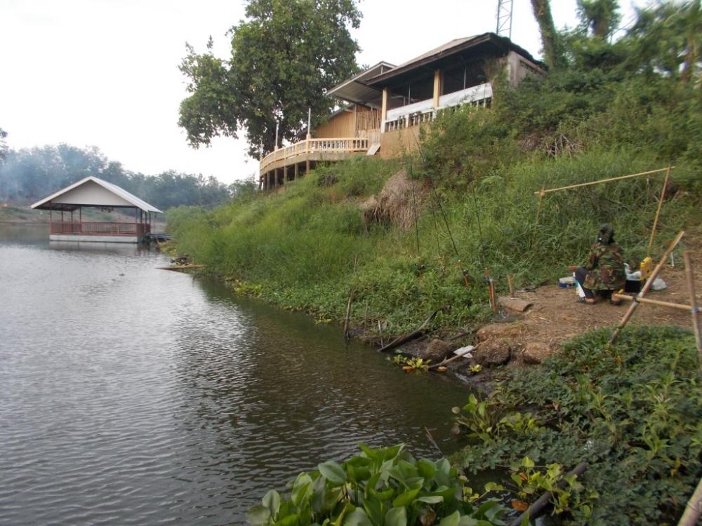 ชะโด ใหญ่  เพื่อนแพ คลองสัมพันธ์   ปราจีนบุรี   