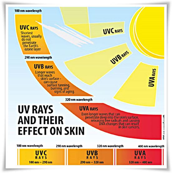 สิ่งทอป้องกันแสงอัลตราไวโอเลต (Ultraviolet Protection Textiles)