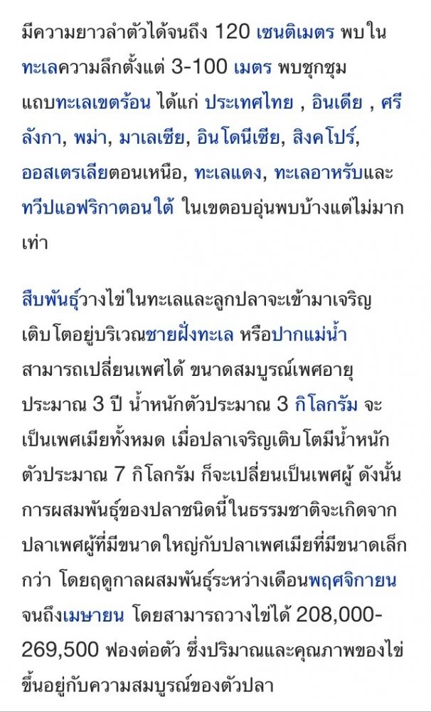 Record : เก๋า กุดสลาด