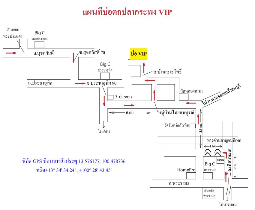 บ่อVIP ลงปลา 550 ตัว