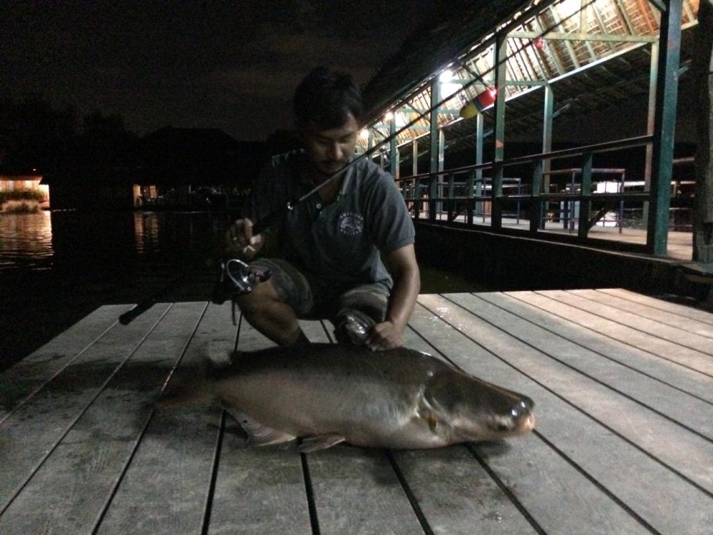 บึงสำราญครั้งแรก โดยทีมงานกลุ่มเพื่อน สวนหลวง Fishing Club ตอนที่1