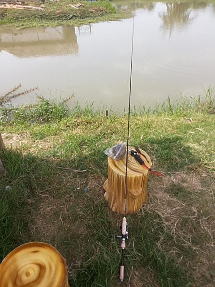 Nile Telapia Fishing 