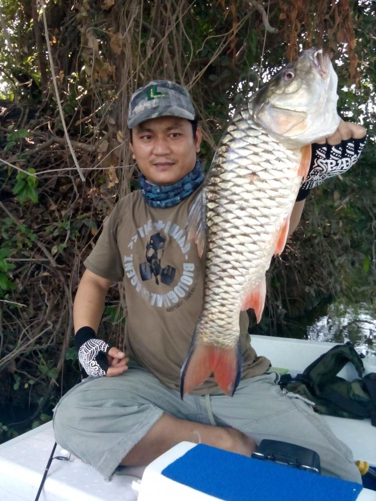 พา RAPALA ไปอาบน้ำเจ้าพระยา