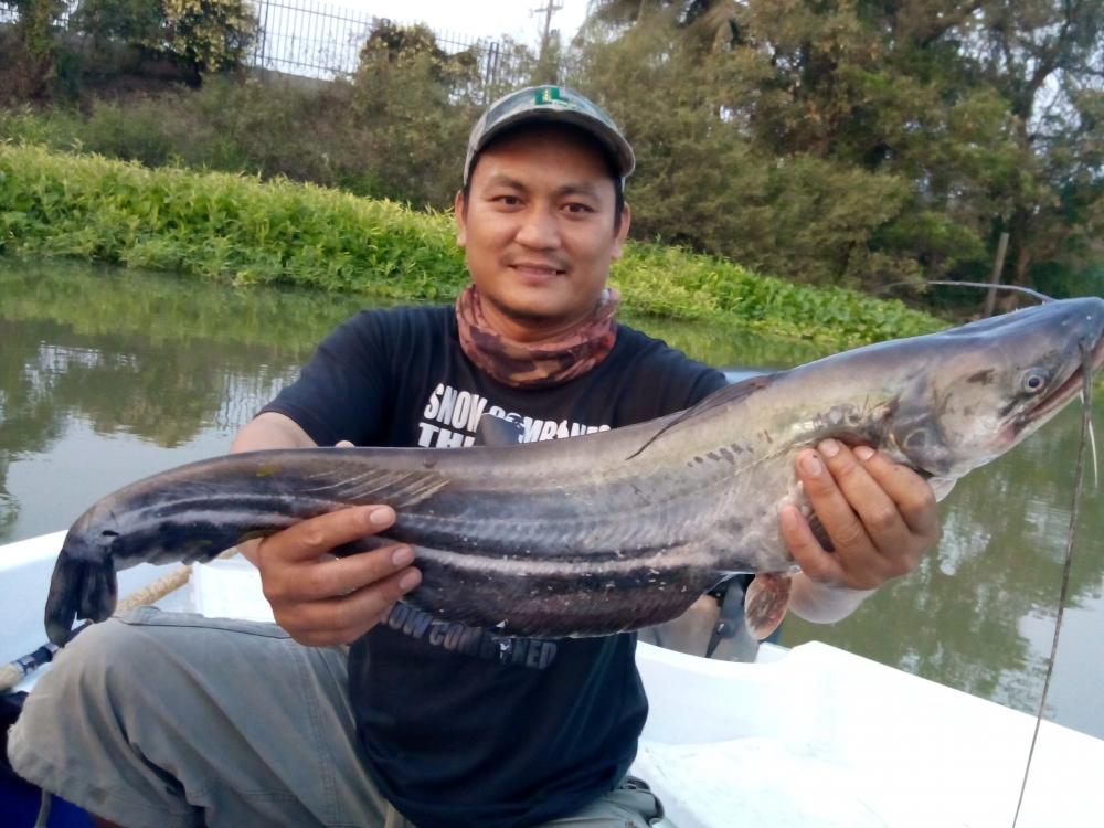 พา RAPALA ไปอาบน้ำเจ้าพระยา