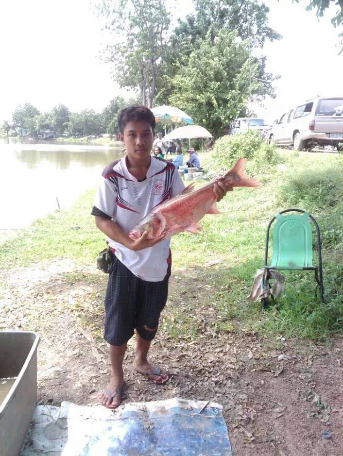เรียนเชิญเข้าร่วมแข่งขันตกปลา บึงบอน อุตรดิตถ์ ในวันอาทิตย์ที่ 13 กรกฎาคม 2557