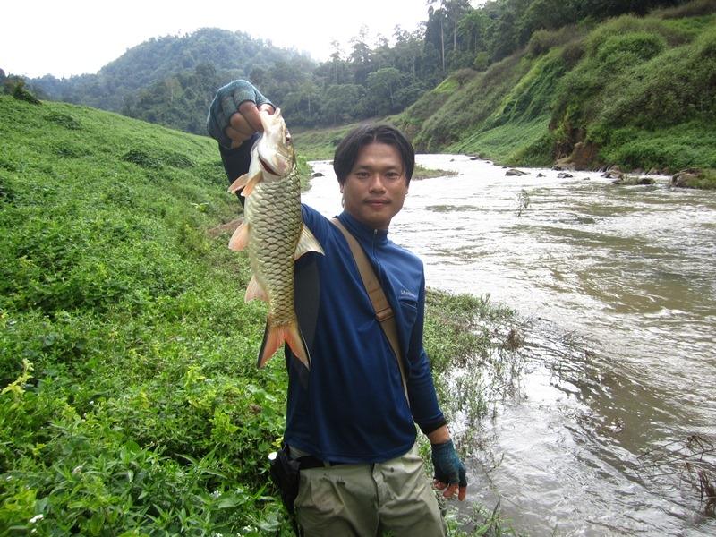 รูปตัวอย่างกระสูบขุนด่านปราการชล