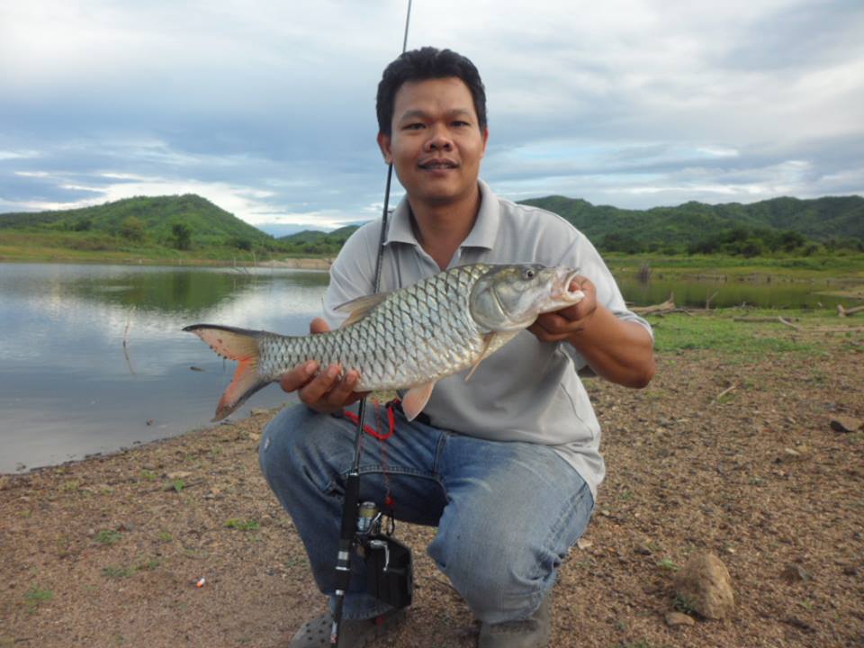 กระสูบแม่ประจันทร์