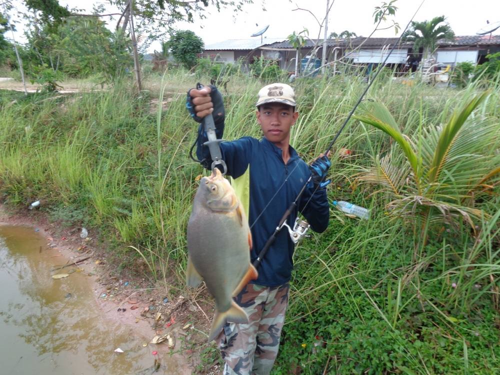 ขอบพระคุณครับ