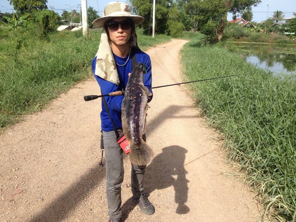 สุขใจ...เมื่อได้ไปตกปลา(กบchai-ubon)