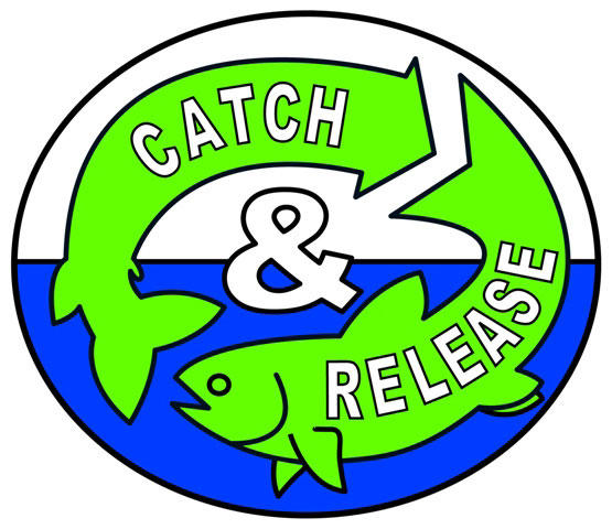 ช่วยทีครับเรื่องการ catch & release ครับ