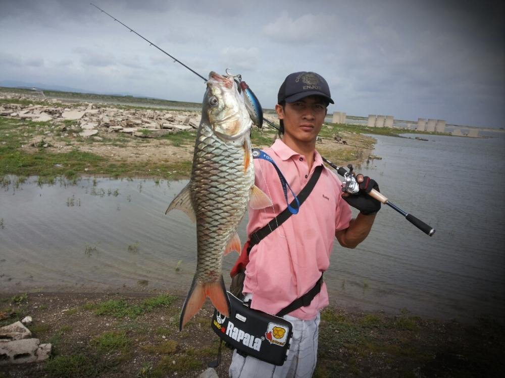 กระสูบใหญ่เขื่อนป่าสัก