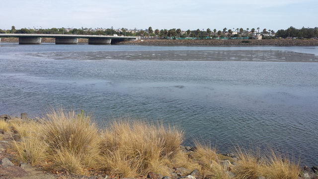 ตกปลาเวลาน้ำลง ที่ San Diego River รวมๆ
