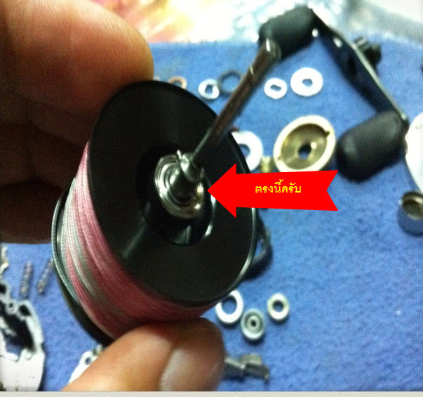 ct 101 ปี 2012 อยากเปลี่ยนลูกปืน แกนสปูน