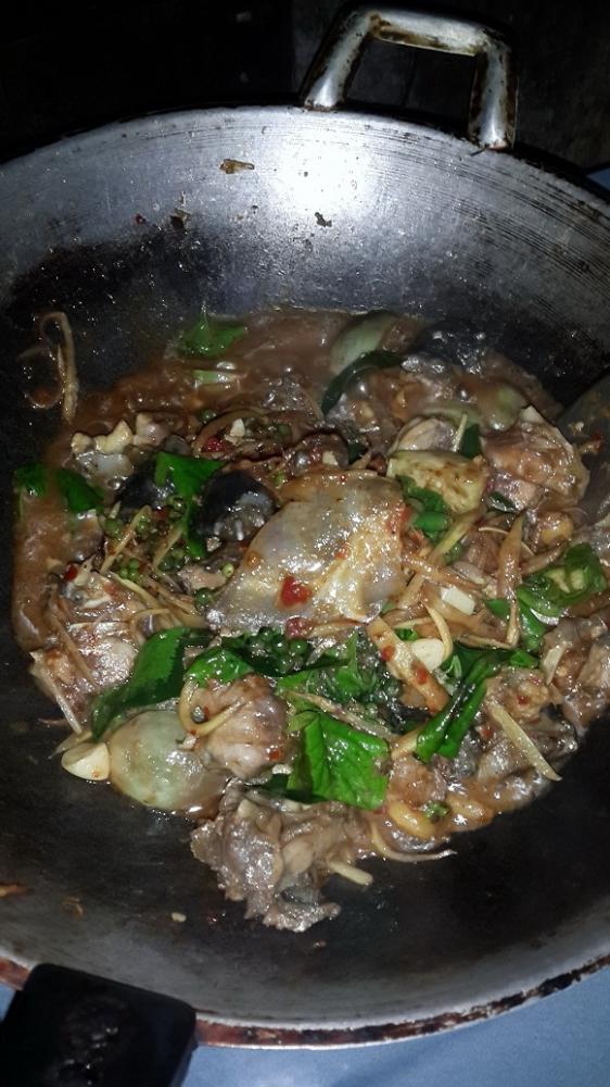 ตะพาบผัดเผ็ดครับ(ครั้งแรก)