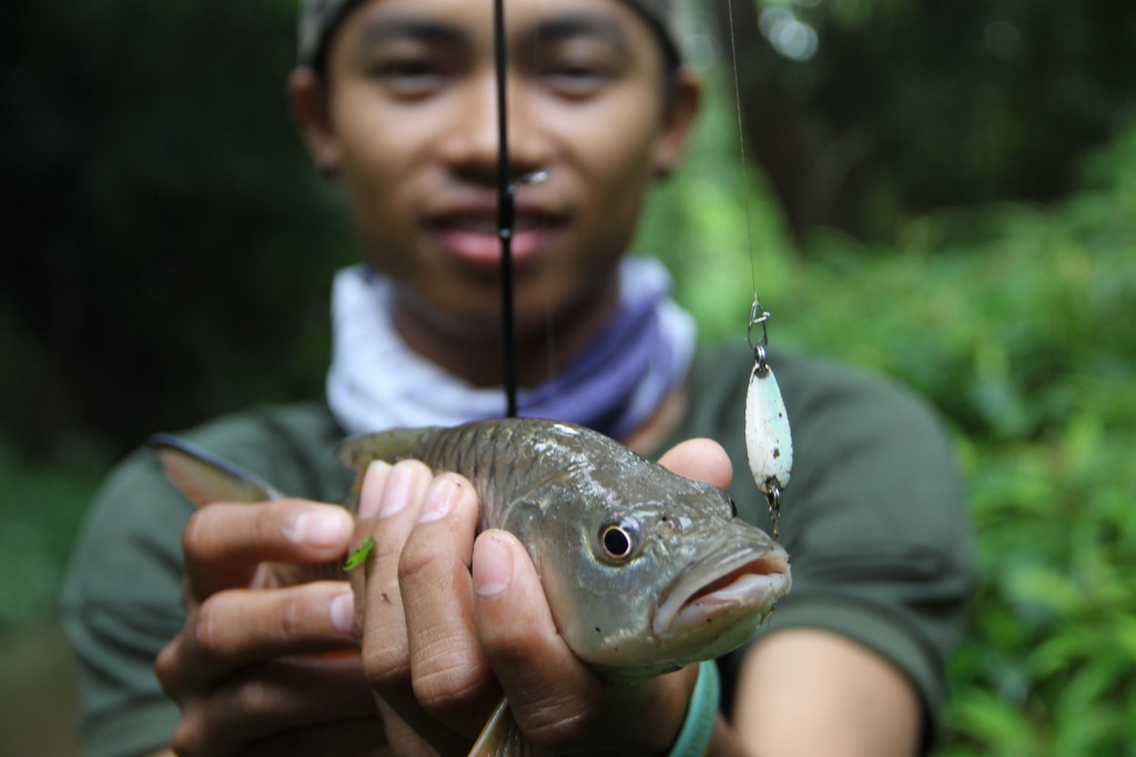 เรื่องของกระสูบ