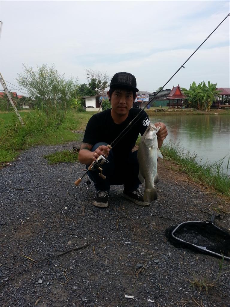 < ULTRALIGHT FISHING.> Barramundi & Asian redtail catfish 