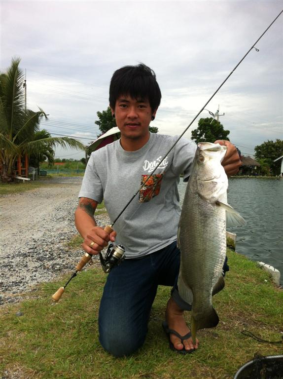 < ULTRALIGHT FISHING.> Barramundi & Asian redtail catfish 