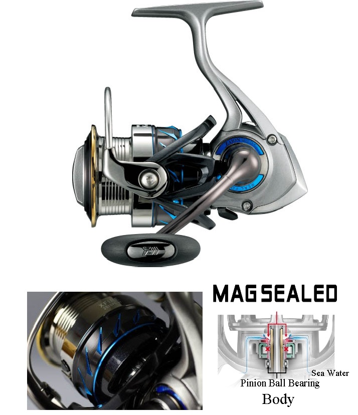 Daiwa Spin ออกใหม่ 2 รุ่น