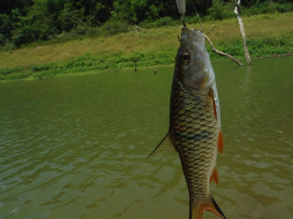 หม่องกระแทะเขื่อนศรีณครินทร์