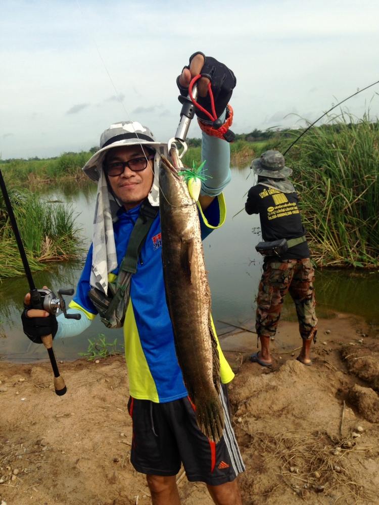 ทริพสั้นๆในวันหยุดครับ