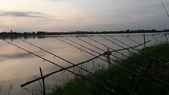 พ่อผมไปบึงใหญ่อุทัยธานีมาครับ