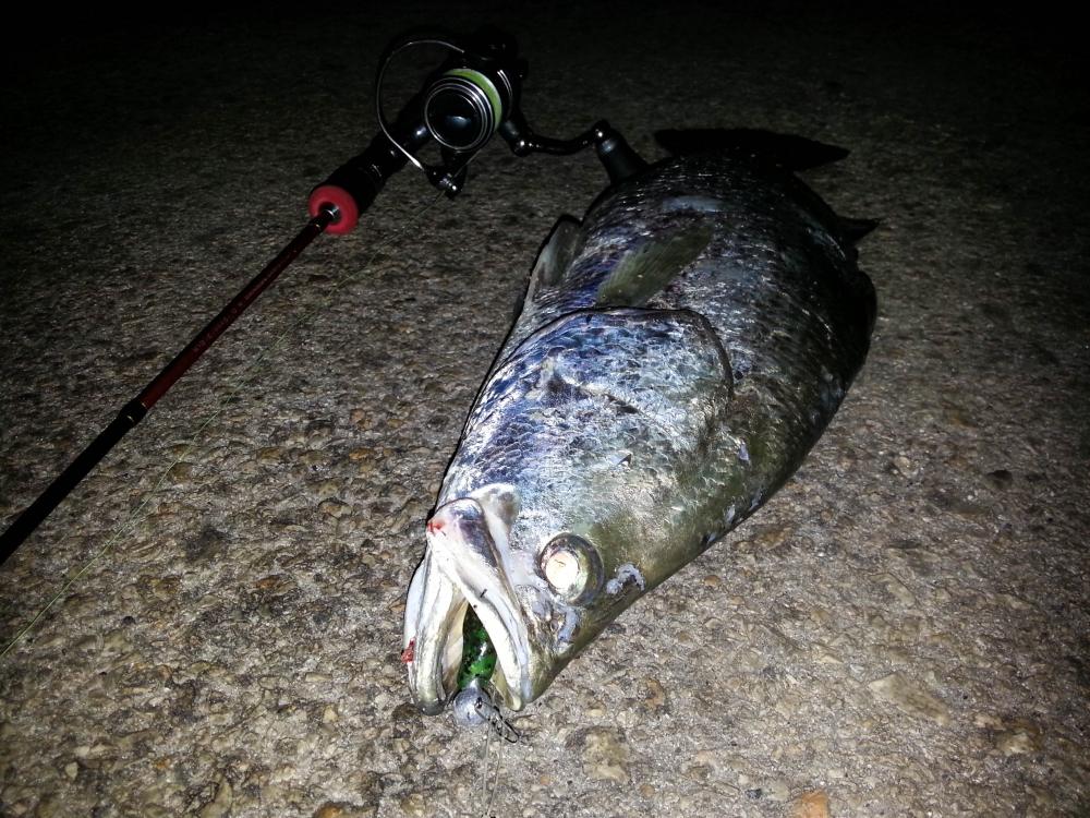 Ultra Light Fishing Night