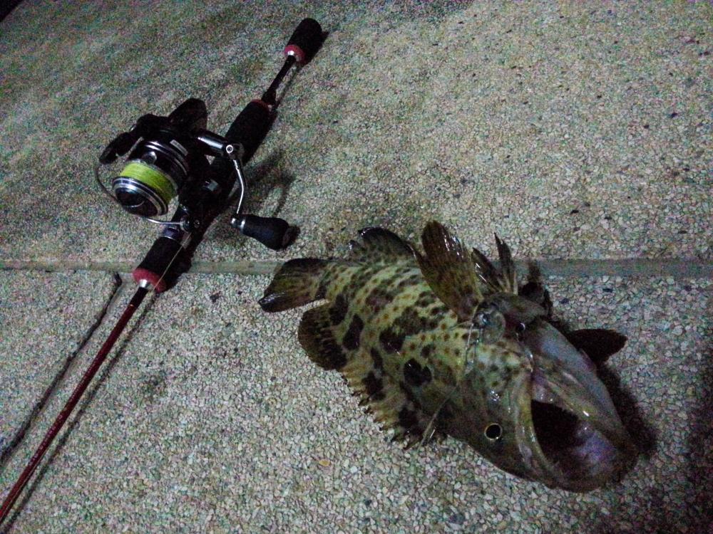 Ultra Light Fishing Night