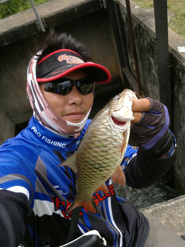 "Light Jig"กระสูบปากท่อ(เฉพาะกิจ)กับ"Mustad Untrapoint"