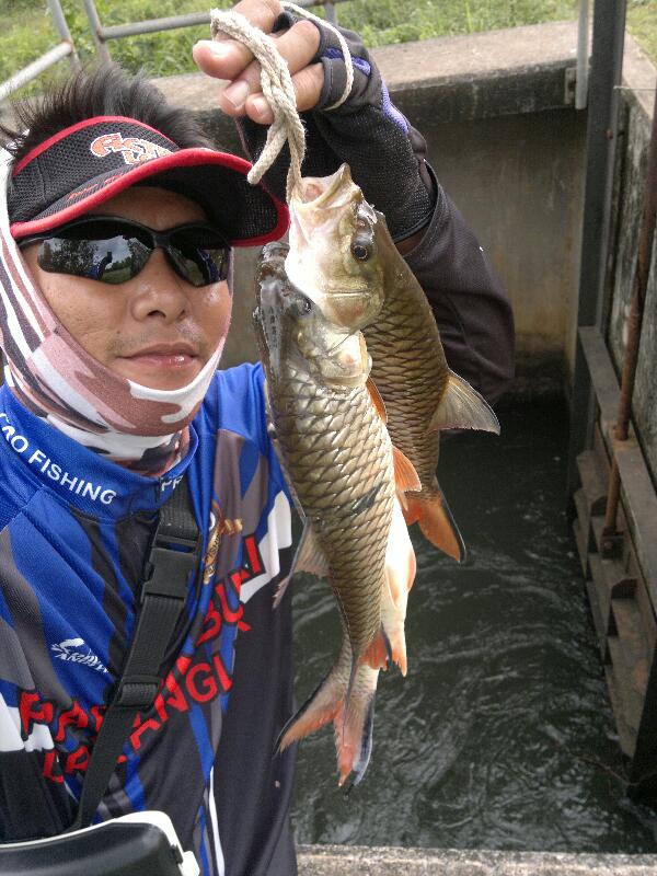 "Light Jig"กระสูบปากท่อ(เฉพาะกิจ)กับ"Mustad Untrapoint"