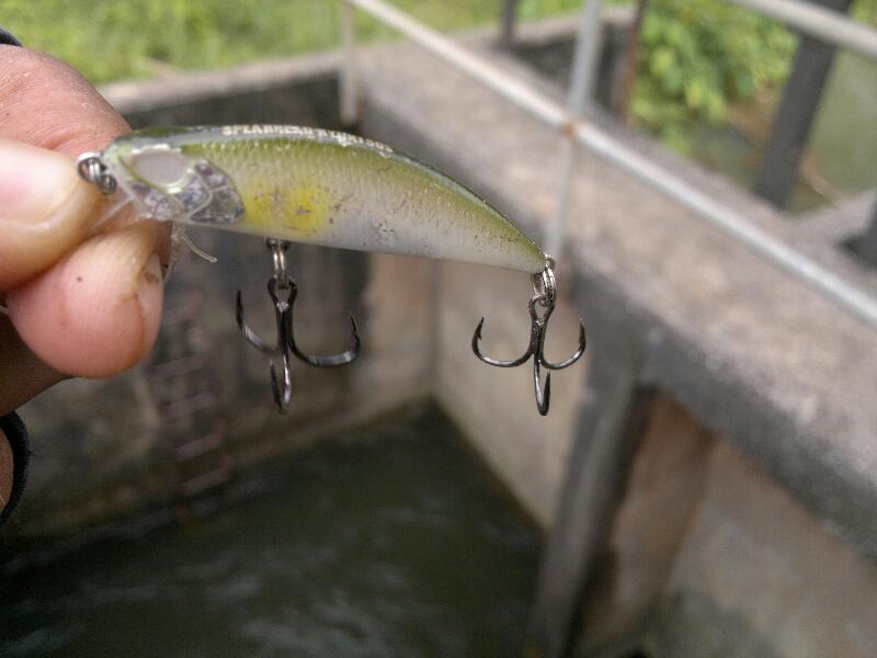 "Light Jig"กระสูบปากท่อ(เฉพาะกิจ)กับ"Mustad Untrapoint"