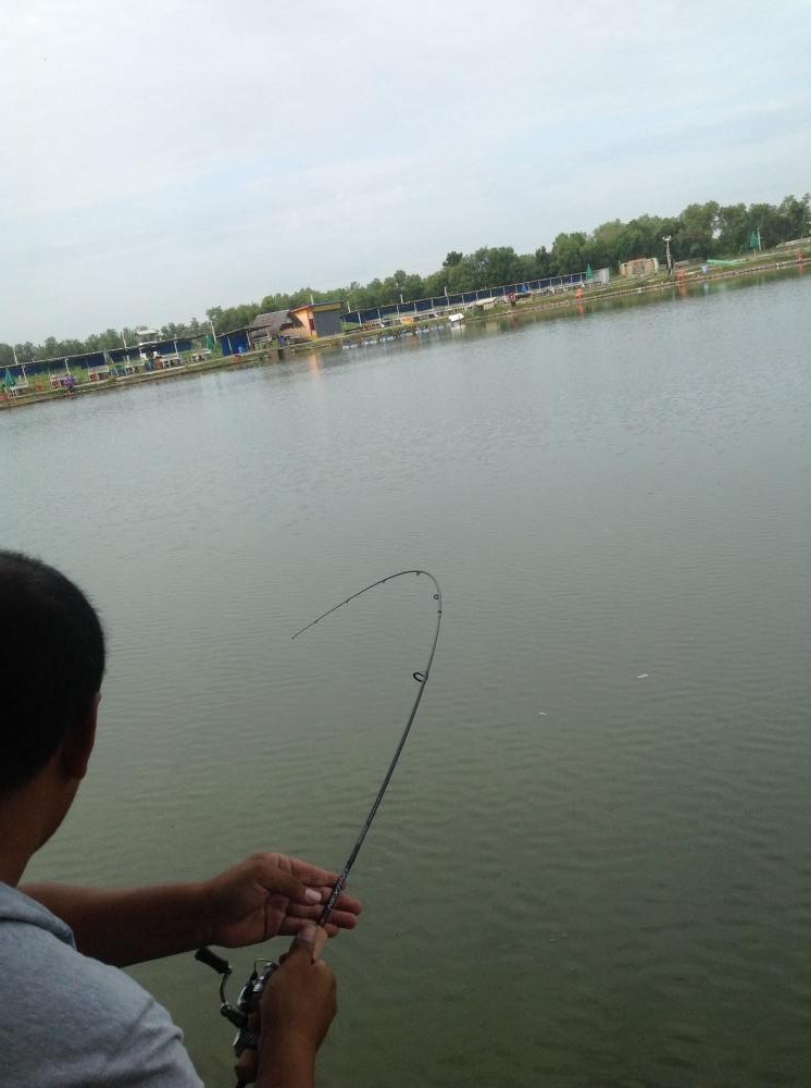 Nextino @ VIP Fishing