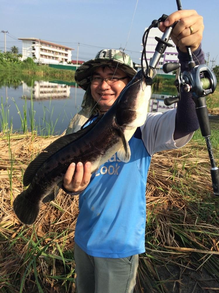 Snakehead Angler Club กับ เปคู ไซ้ร์ 10 up