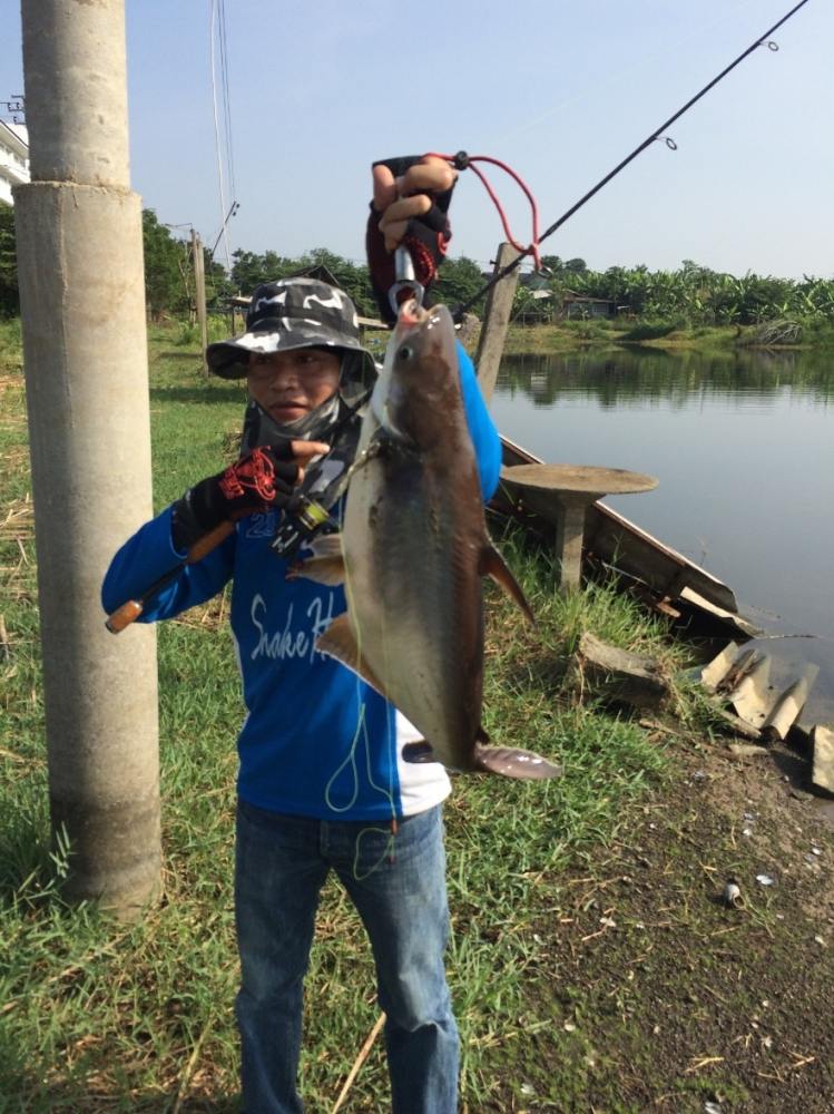 Snakehead Angler Club กับ เปคู ไซ้ร์ 10 up